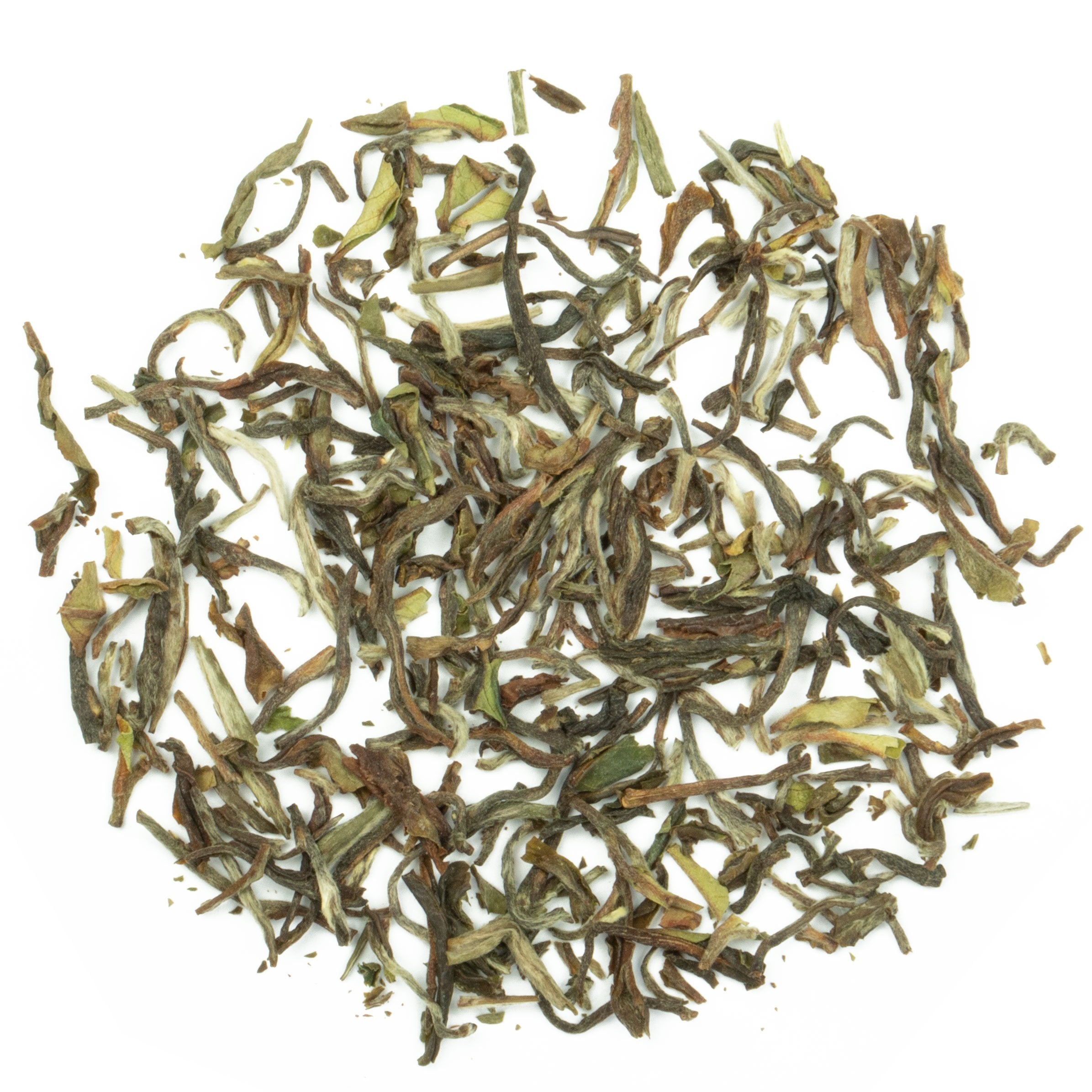 Eine Teeschale mit dem Trockenprodukt des Nepal Jun Chiyabari – Himalayan Bouquet Oolong, bestehend aus bräunlich, silbrig schimmernden, gekräuselten Blättern