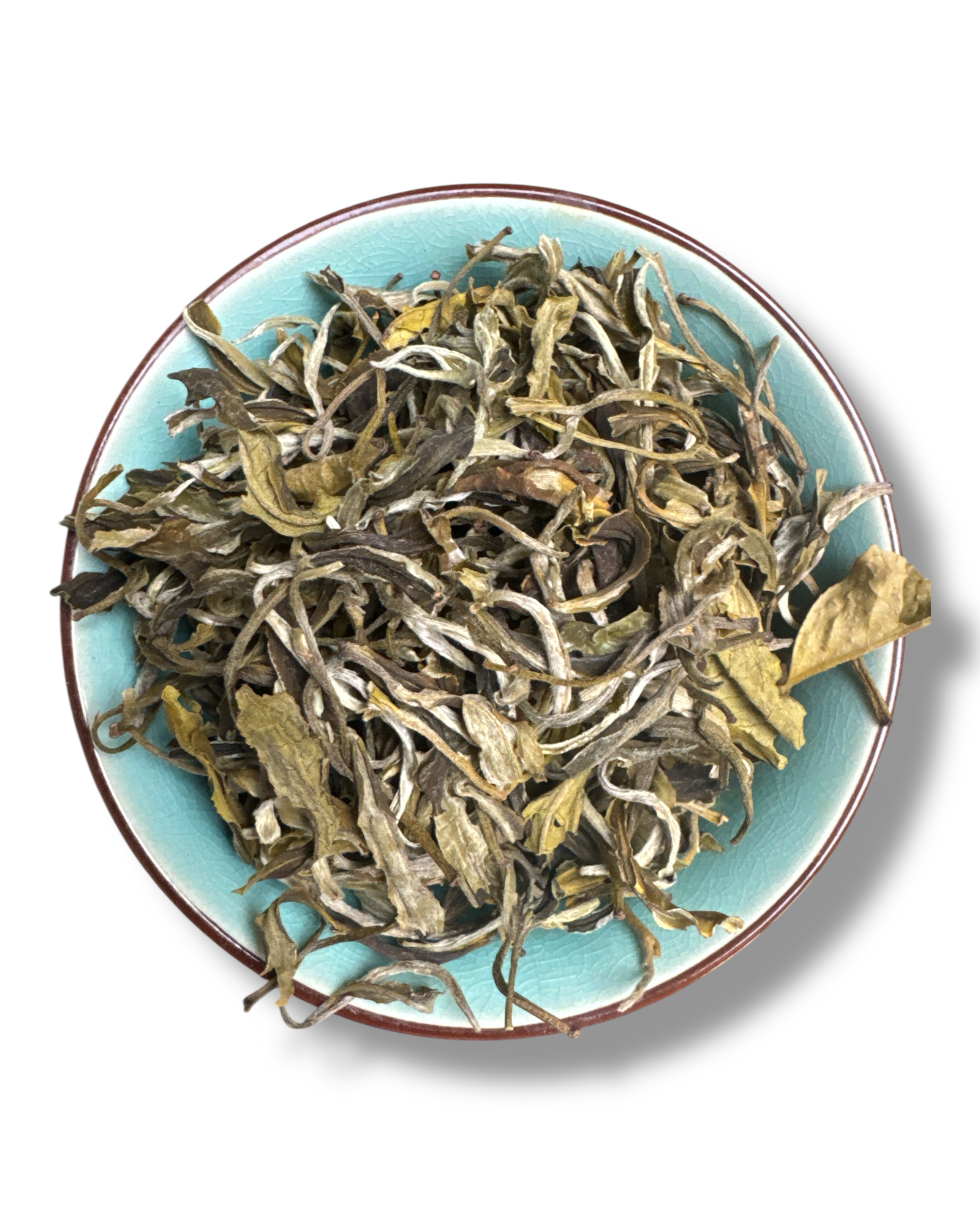 Weisser Tee: Der zarteste Tee der Welt – Orchid Snow Buds erklärt