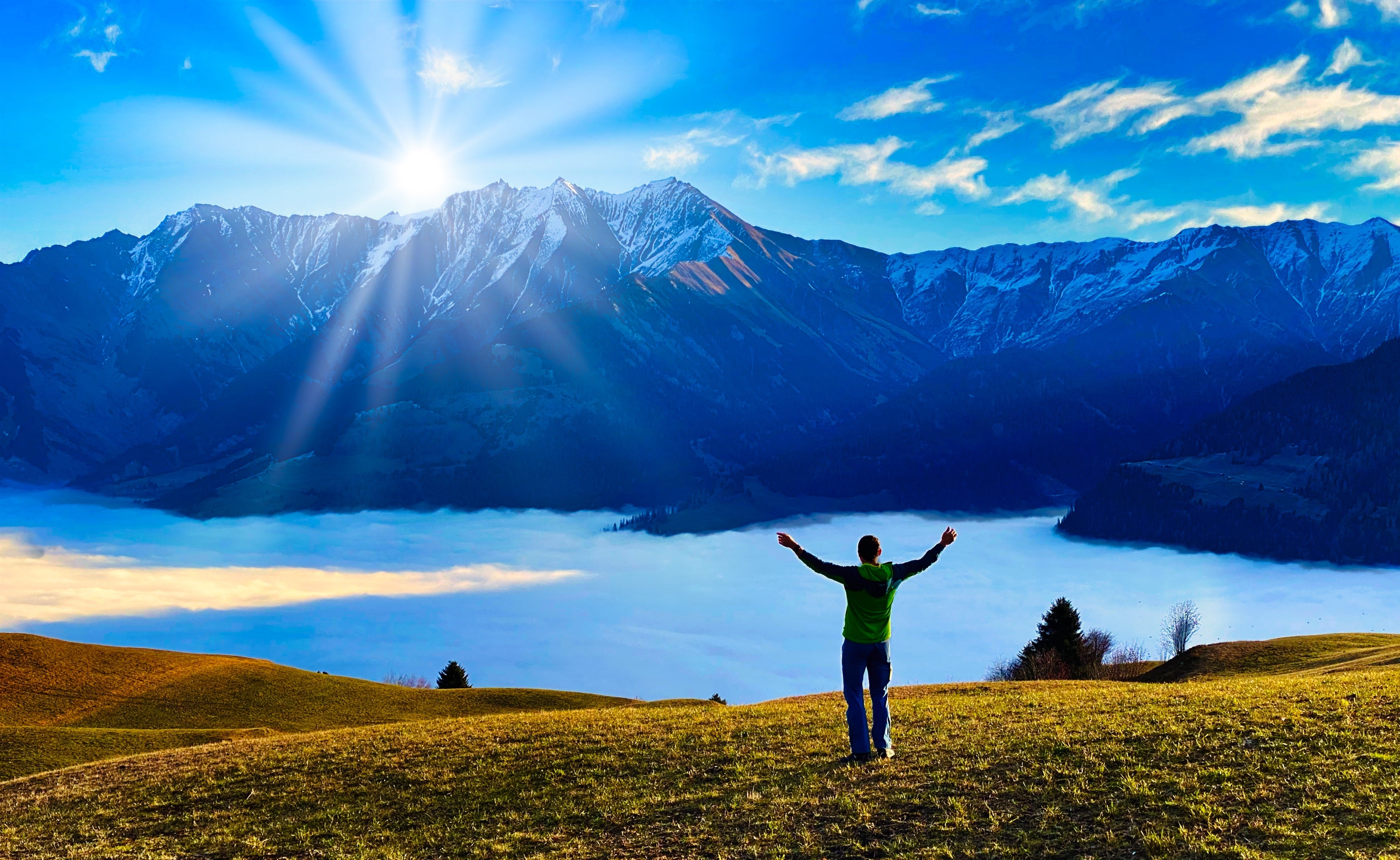 Sanft in den Frühling - Detox und Leichtigkeit mit Bio Tees von Teemotion